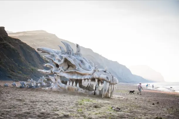 Dragon head