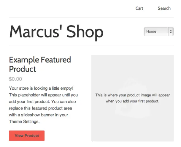 Shopify preview