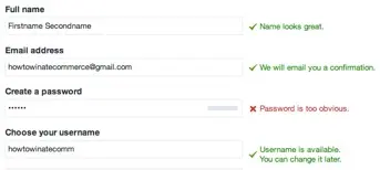 Inline validation form showing user feedback on input fields.