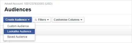 Facebook Business audience creation options showing lookalike audience feature.