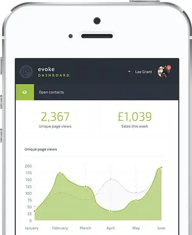 Evoke dashboard displaying unique page views and sales over time.