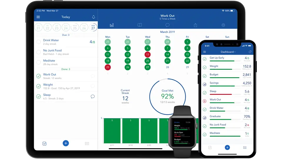 Strides performance dashboard showing goal progress and activity tracking.