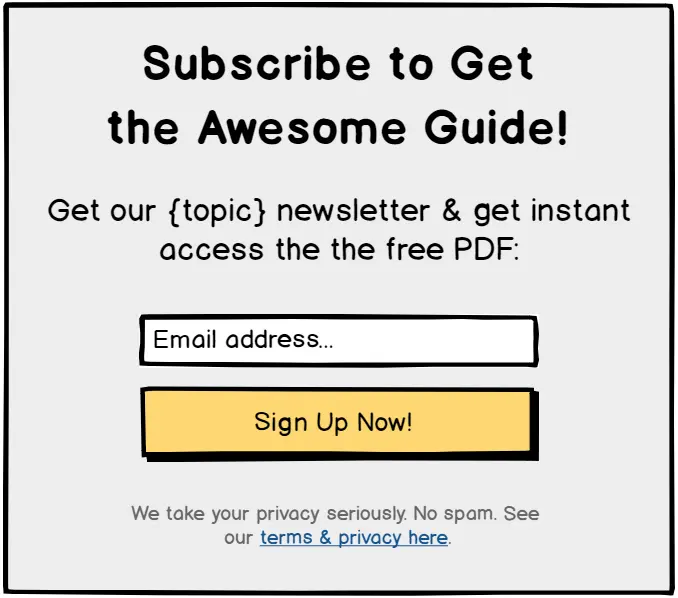 Newsletter sign-up form for accessing a free PDF guide.