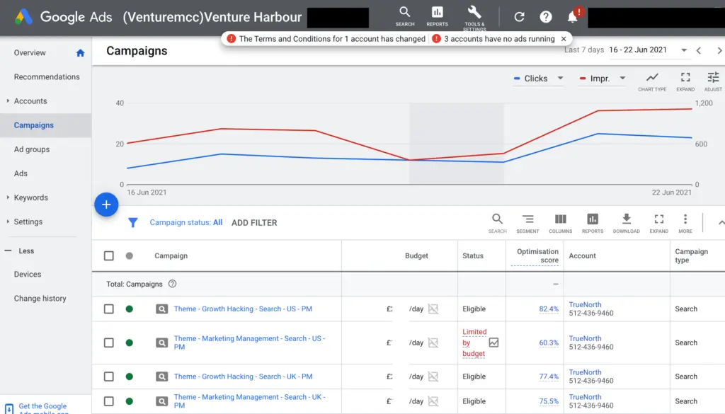 Google Ads campaign performance showing clicks and impressions over time.