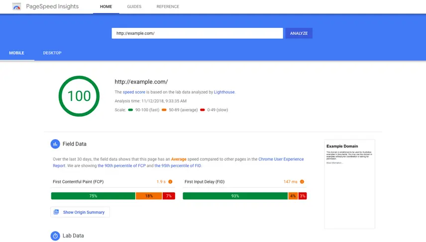 PageSpeed Insights performance report showing website loading metrics.