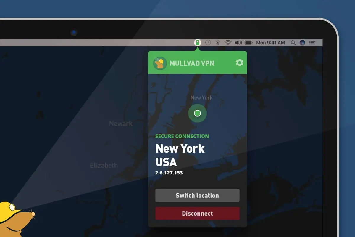 Mullvad best VPN services