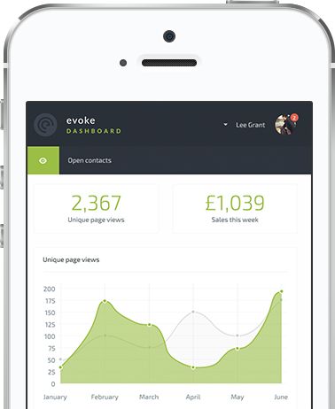 Evoke dashboard displaying unique page views and sales over time.