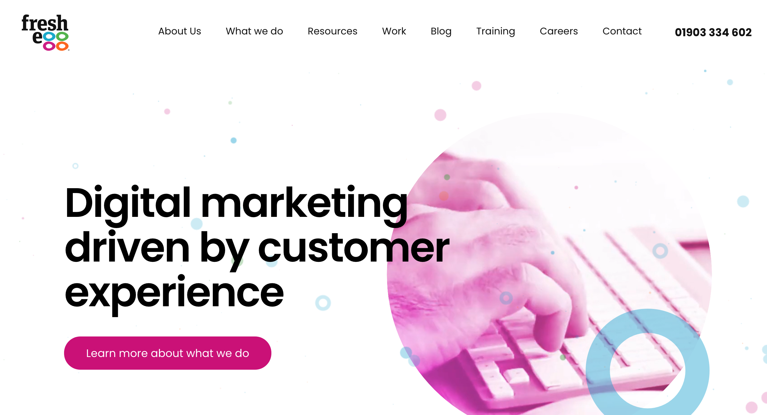 Freshegg website homepage showcasing digital marketing services.