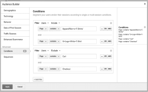 Audience Builder showing user segmentation conditions.