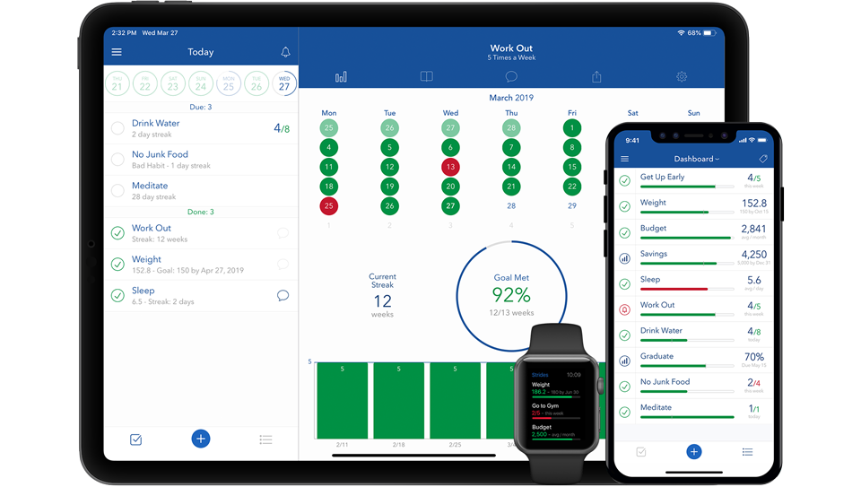 Strides performance dashboard showing goal progress and activity tracking.