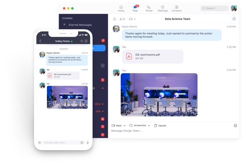 Zoom chat interface displaying messages and file sharing.