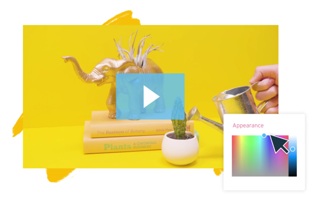 Wistia video player showcasing video content creation.