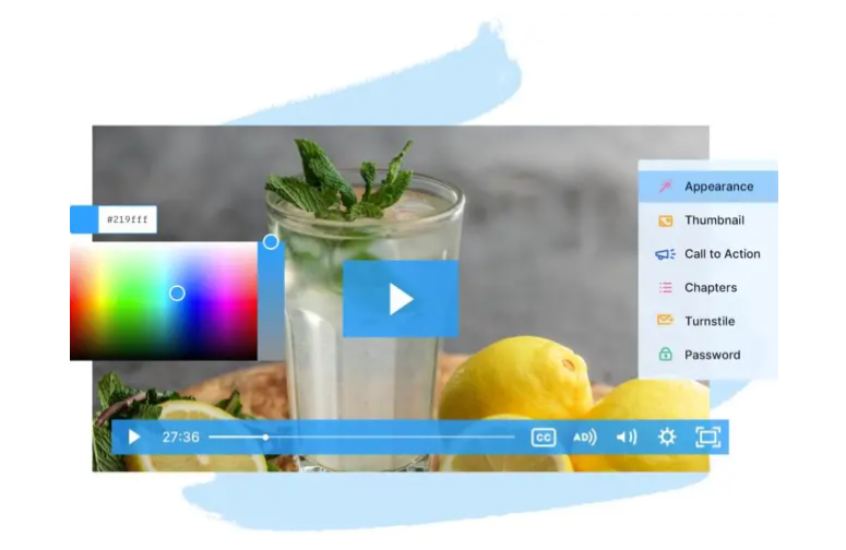 Wistia video player showing customization options for appearance and controls.