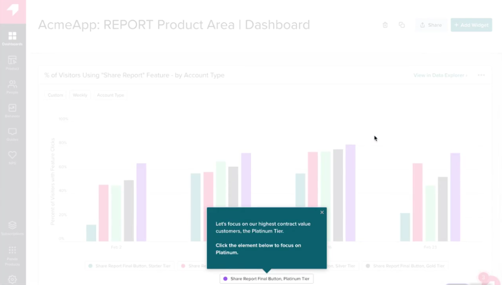 AcmeApp report dashboard showing feature usage by account type.