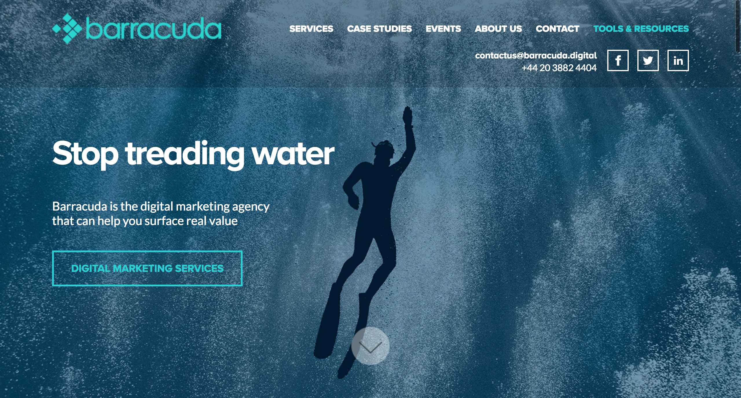 Barracuda website showcasing digital marketing services with a diver illustration.